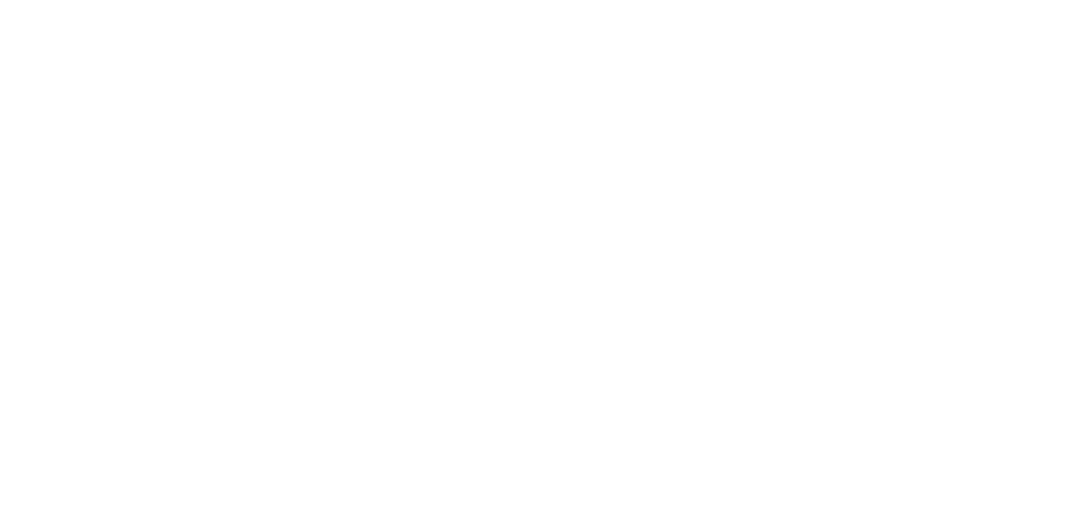 Z3N